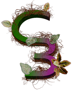 Case Botanicals logo